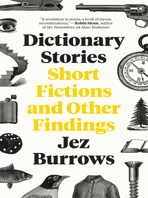 Cover image for Dictionary Stories